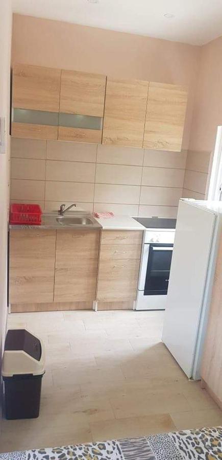 Apartments Tadic Petrovac Exterior photo