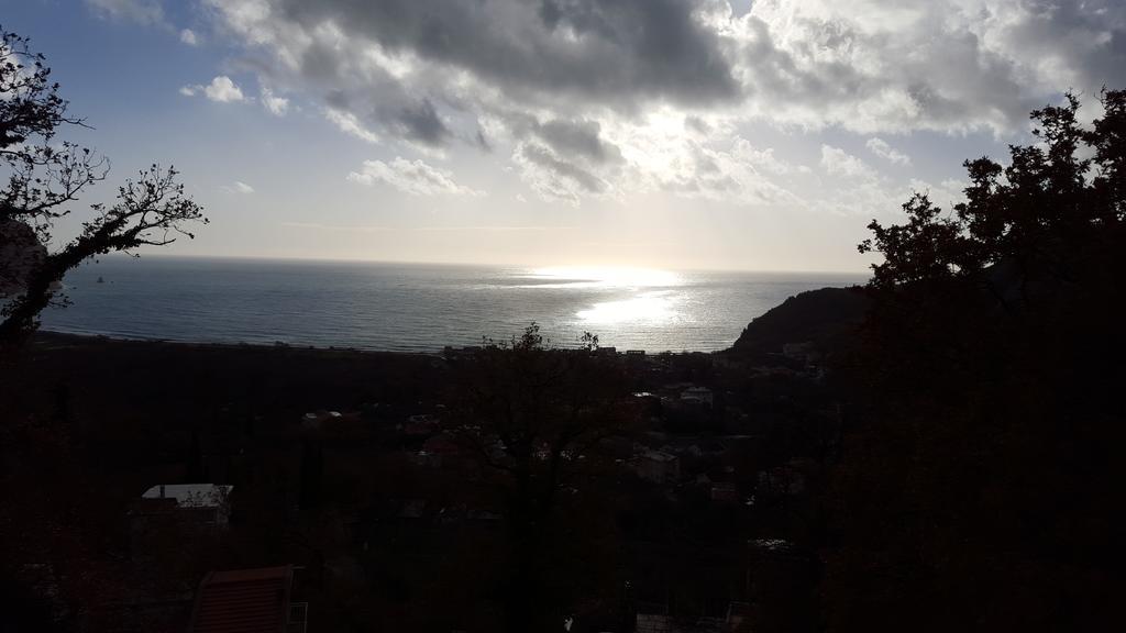 Apartments Tadic Petrovac Room photo